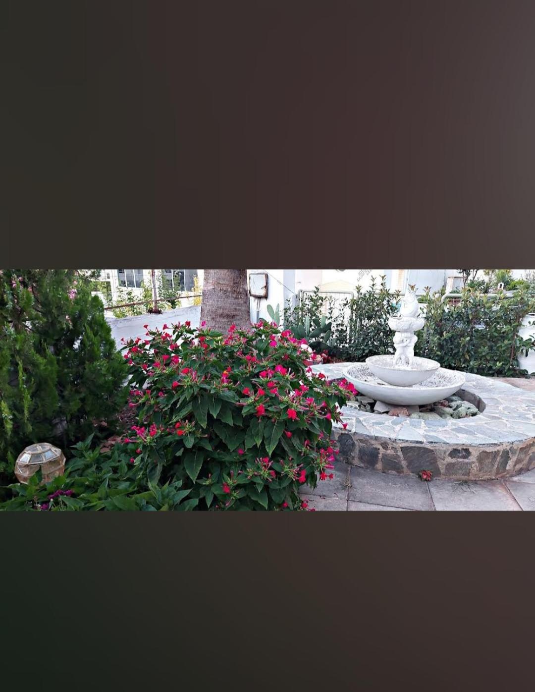 Garden'S House Apartment Spata  Exterior photo
